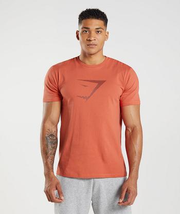 T Shirts Gymshark Sharkhead Infill Hombre Rojas | CO 3297WNB